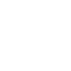 icons8 o 100 (1)